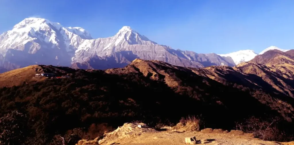 Mardi Himal Trek vs Poon Hill Trek: A Complete Guide for Trekkers