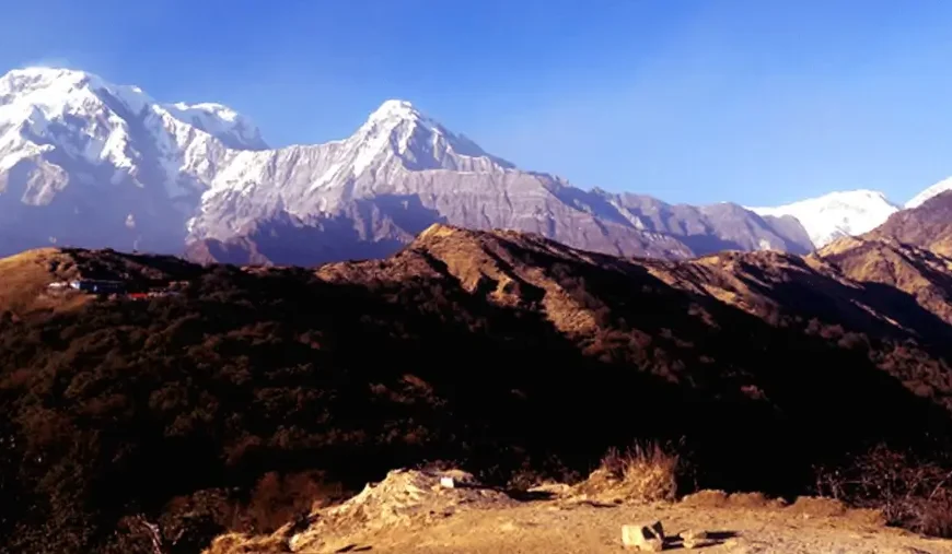 Mardi Himal Trek vs Poon Hill Trek: A Complete Guide for Trekkers